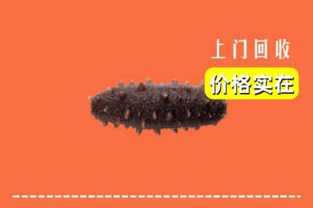 收购资讯:定州市回收海参