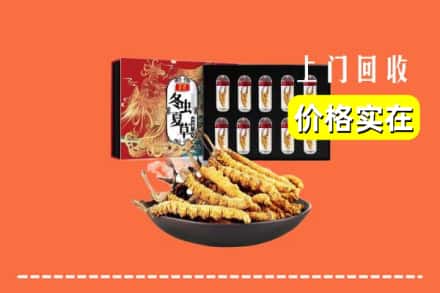 定州市回收虫草
